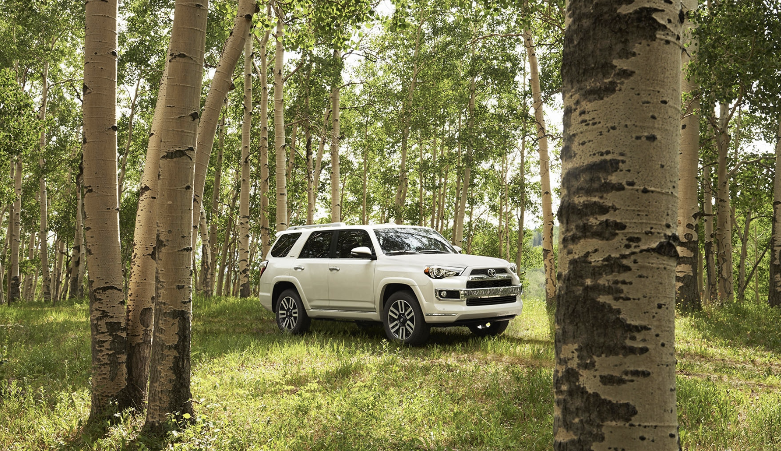 2019 Toyota 4runner Safety Features