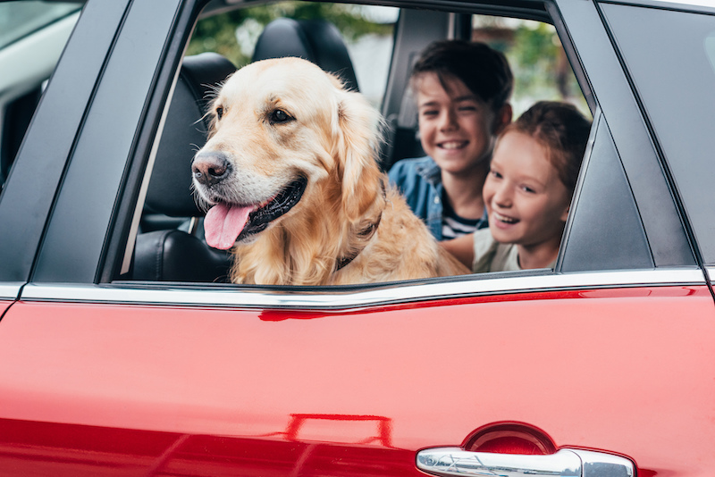 Keeping Your Vehicle Clean and Maintaining Its Value With Kids and Pets